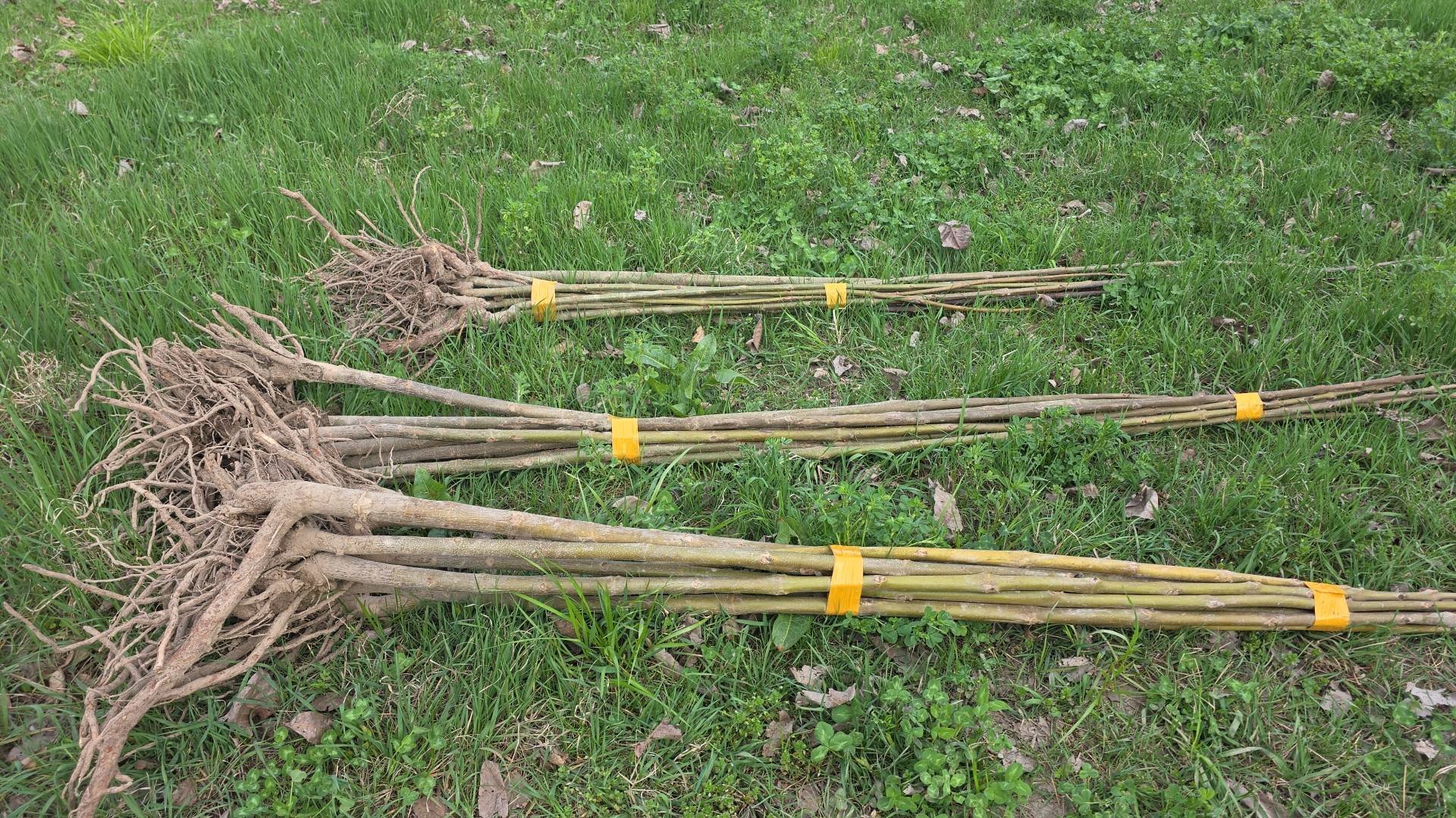 660292405_1361761859321947_2265248278390272749_n